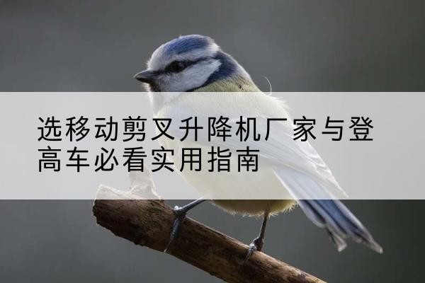 双牌电动升降机厂家-选移动剪叉升降机厂家与登高车必看实用指南