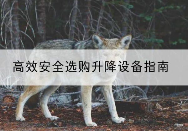 双牌升降货梯厂家推荐-*安全选购升降设备指南