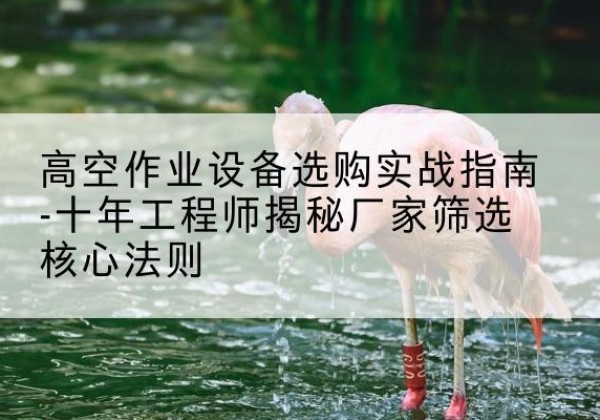 双牌剪叉式升降机厂家-高空作业设备选购实战指南-十年工程师揭秘厂家筛选核心法则